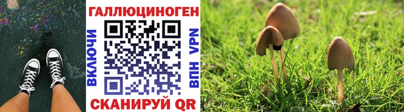 Галлюциногенные грибы GOLDEN TEACHER omg онион Набережные Челны