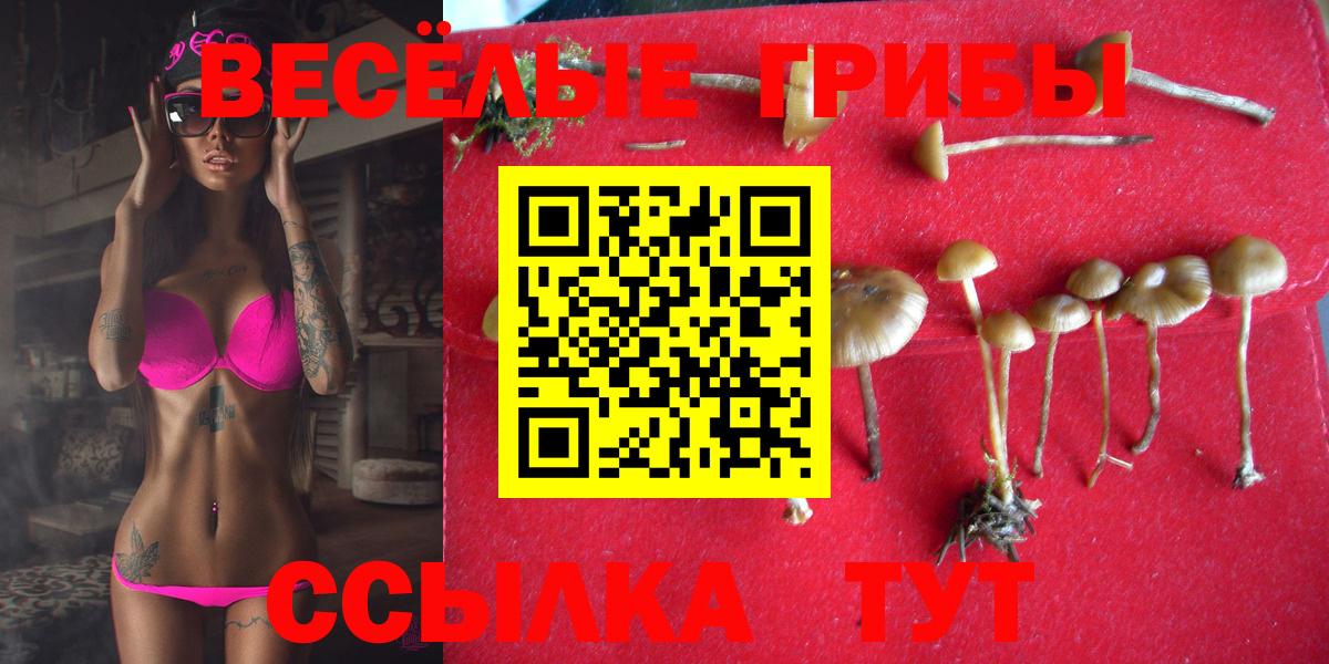 Набережные Челны  наркотики  Псилоцибиновые грибы Magic Shrooms  Вход с VPN  Галлюциногенные грибы мухоморы 