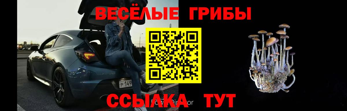 Псилоцибиновые грибы ЛСД Набережные Челны